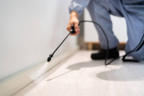 Licensed Pest Control service in Coupeville, WA - Show Me Pest Control